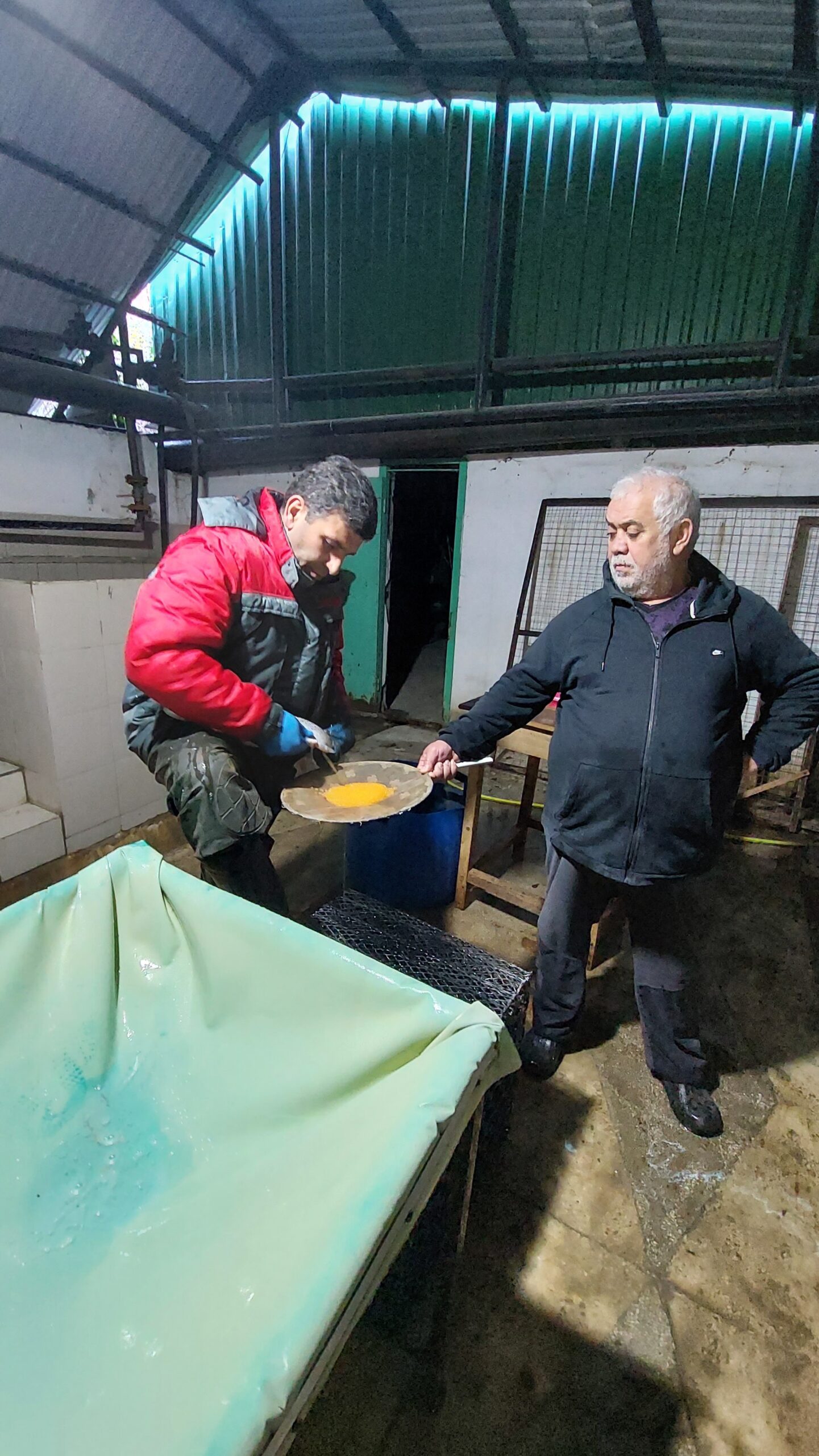 Азово-Черноморский филиал Главрыбвода планирует выпустить 150 тыс. штук черноморского лосося в 2022 году